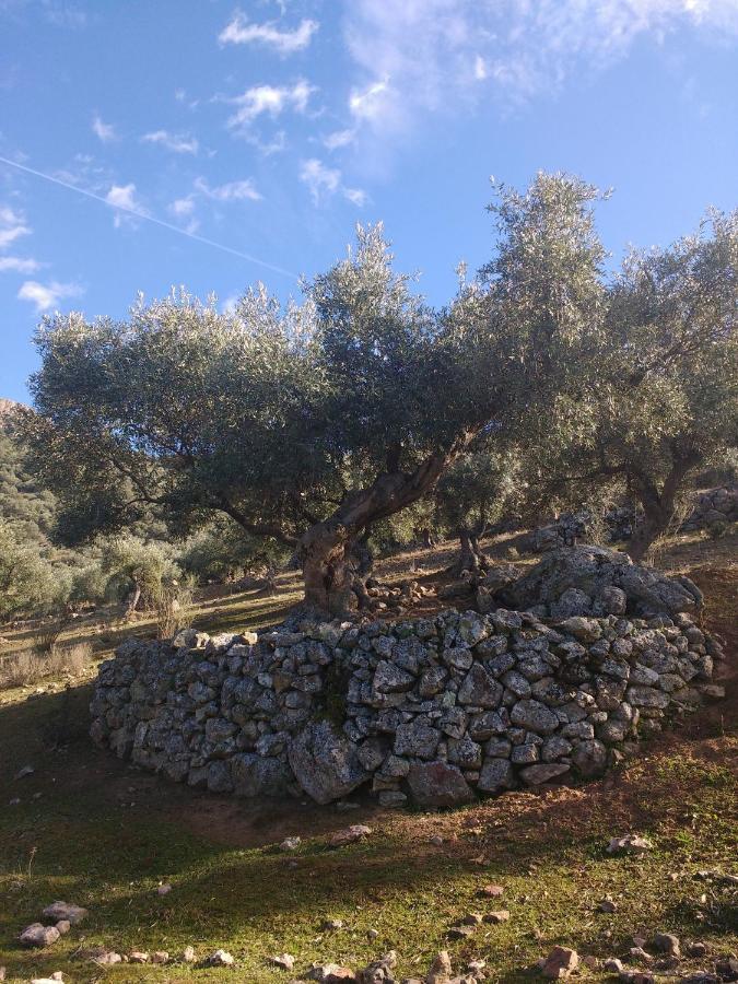 Casa Relojero Villa Zarza-Capilla Buitenkant foto